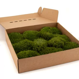 Mood Moss Nature Green stabilis&eacute;e (Bo&icirc;te)
