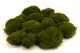 Mood Moss preservado Nature Green (Caja) 4