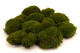 Mood Moss preservato - Scatola - Nature Green 3