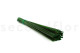 Gynerium Court stabilisé - Bouquet - Vert 8
