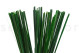 Gynerium Corto Preservado - Ramo - Verde 1