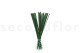 Gynerium Corto Preservado - Ramo - Verde 3