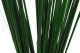 Gynerium Corto Preservado - Ramo - Verde 9