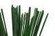 Gynerium Corto Preservado - Ramo - Verde 7