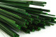 Gynerium Corto Preservado - Ramo - Verde 5