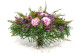 Gynerium Court stabilisé - Bouquet - Vert 12