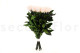 Tige de rose stabilisée longue extra - 5 Tiges - Vert 11