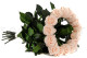 Tige de rose stabilisée longue extra - 5 Tiges - Vert 7