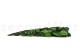 Tige de rose stabilisée longue extra - 5 Tiges - Vert 10