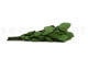 Stabilized rose stem short extra - 5 Stems - Green 5