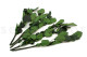 Stabilized rose stem short extra - 5 Stems - Green 2