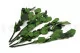 Tige de Rose stabilis&eacute;e Courte (x5) 2