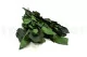 Preserved Rose Stem Short (x5) 6