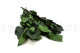 Stabilized rose stem short extra - 5 Stems - Green 6