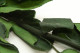 Stelo di rosa stabilizzato corto extra - 5 Steli - Verde 7