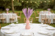 Mini-pampa getrocknet - 20 Stück - Lavender Lane 1
