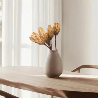 Getrocknete Protea Repens Creme (x5)