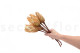 Getrocknete Protea Repens - 5 Stiele - Cremefarben 3