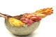 Getrocknete Protea Repens - 5 Stiele - Cremefarben 10