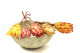 Getrocknete Protea Repens - 5 Stiele - Cremefarben 11