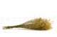 Gypsophila stabilizzata - Giallo 5