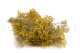 Gypsophila stabilizzata - Giallo 8