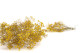 Gypsophila stabilizzata - Giallo 4
