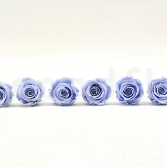 Rose stabilis&eacute;e XL Lavande (x6)
