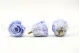 Preserved Rose XL Lavender (x6) 3