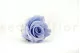 Rose stabilis&eacute;e XL Lavande (x6) 5