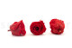 Stabilized rose Kiara XL - Box of 6 - Vibrant Red 5