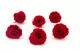 Rosa stabilizzata XL Rosso (x6) 3