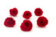 Stabilized rose Kiara XL - Box of 6 - Vibrant Red 3