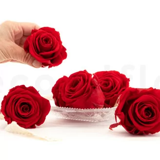 Rose stabilis&eacute;e XL Rouge (x6)