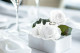 Stabilized rose Kiara XL - Box of 6 - Pure white 1