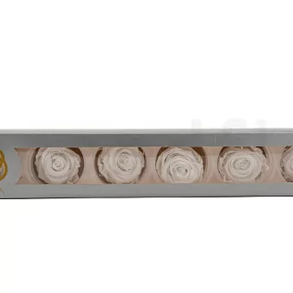Rosa stabilizzata XL Bianco (x6)