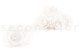 Stabilized rose Kiara XL - Box of 6 - Pure white 6