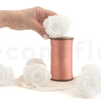 Rosa stabilizzata XL Bianco (x6)