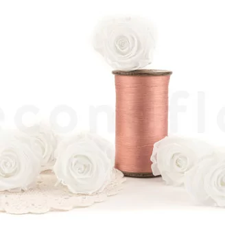 Rosa stabilizzata XL Bianco (x6)