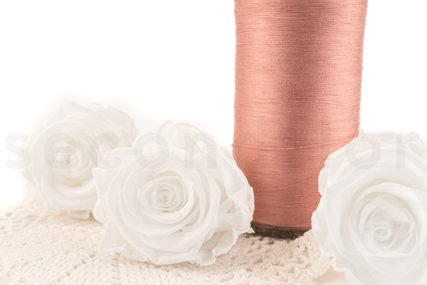 Stabilisierte Rose Kiara XL - Verpackung 6 St. - Pure White