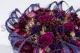 Preserved Scabiosa stellata Violet (x10) 3
