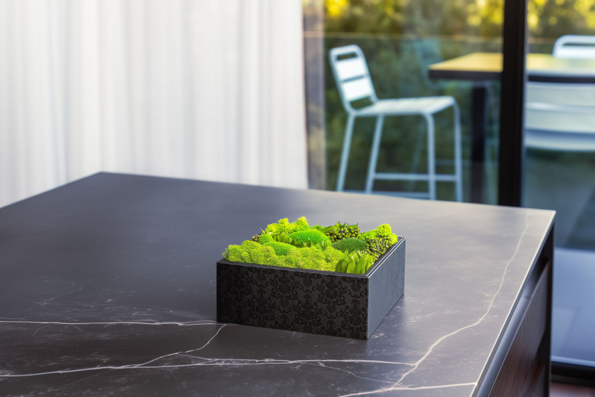 Preserved Ball Moss and Reindeer Moss in a Square Box - Large