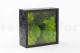 Preserved Ball Moss and Reindeer Moss in a Square Box - Large 2