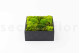 Preserved Ball Moss and Reindeer Moss in a Square Box - Large 11