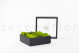 Preserved Ball Moss and Reindeer Moss in a Square Box - Large 6
