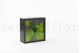 Preserved Ball Moss and Reindeer Moss in a Square Box - Large 13