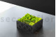 Preserved Ball Moss and Reindeer Moss in a Square Box - Large 18