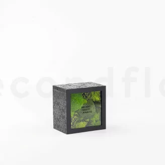 Scatola quadrata con muschio stabilizzato (taglia M)