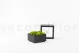 Square Box of preserved Moss (Size M) 12