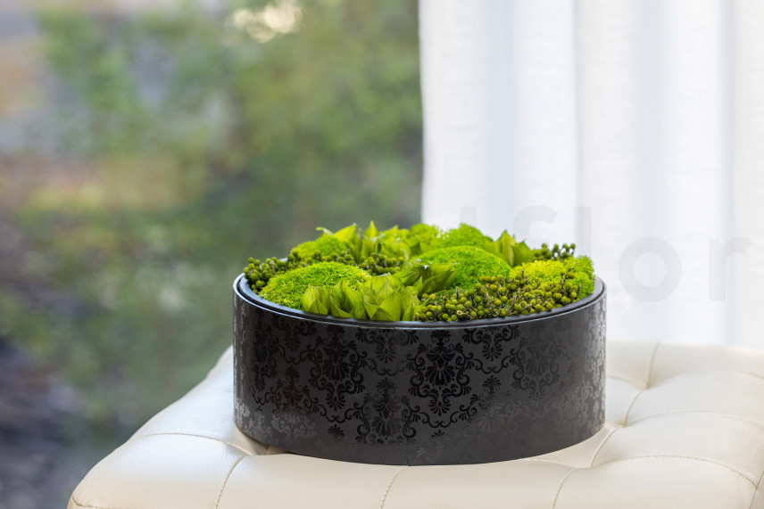 Mousse Boule et Lichen Stabilisé dans une Boîte Ronde - Large